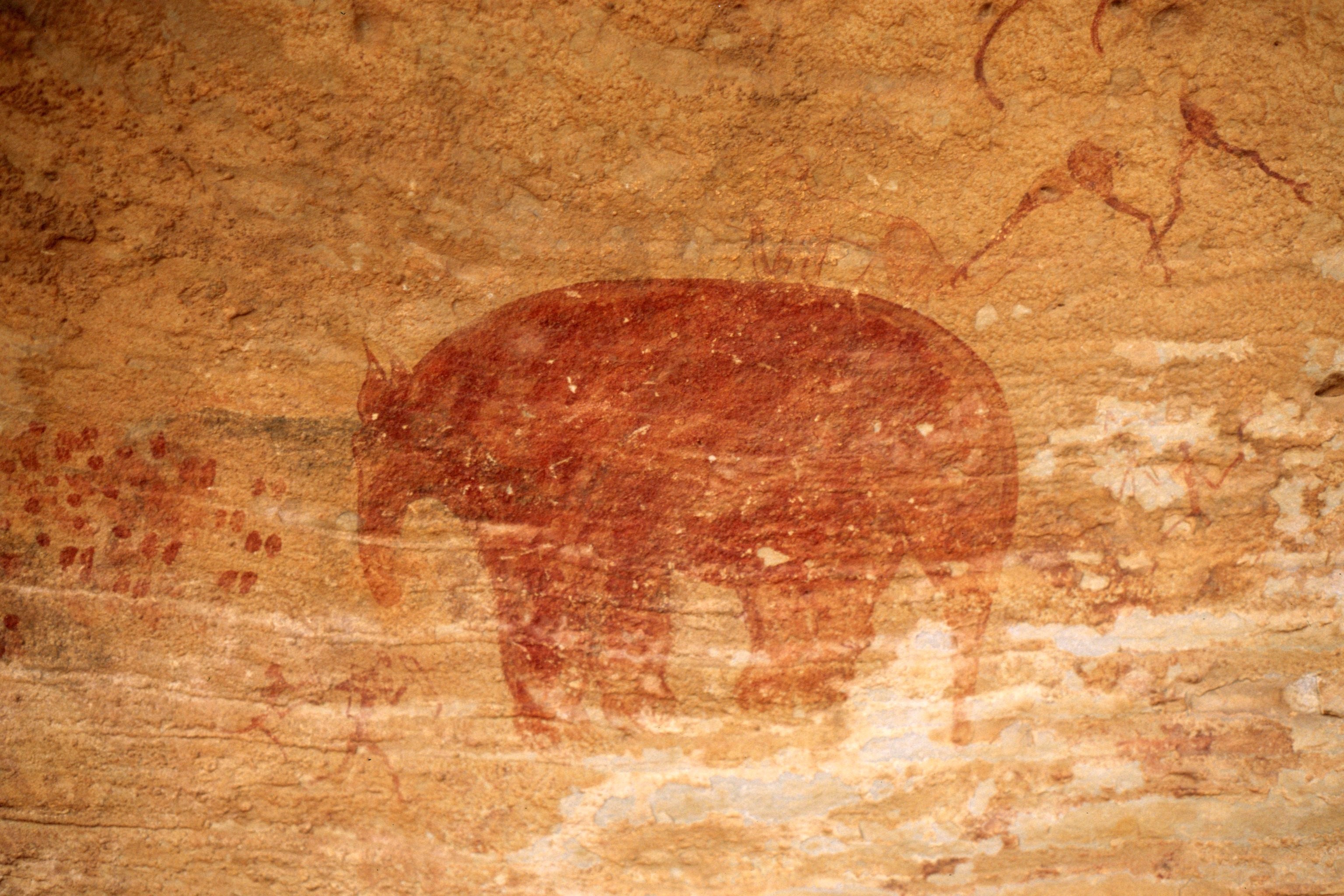 Tassili elephant Mastodon Algérie - Consulat d'Algérie à ...